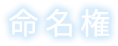 命名権